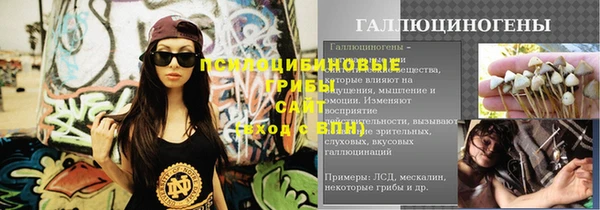 гашик Армянск
