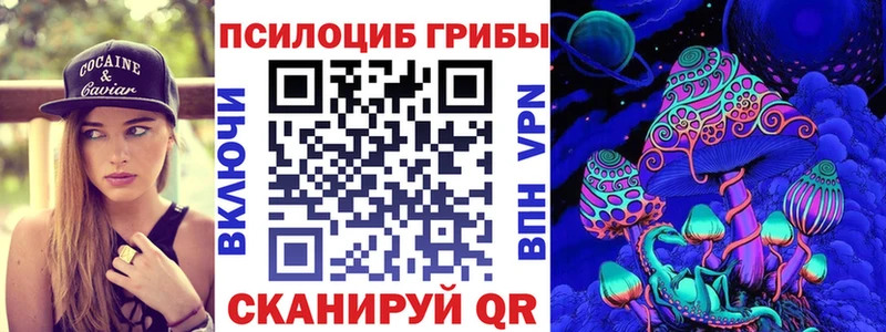 Купить где  Ленинградская  Галлюциногенные грибы Psilocybe 